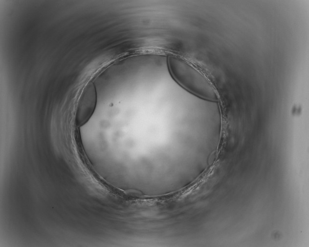 X0000103170049200808221244