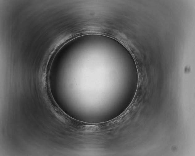 X0000103170050200808221244