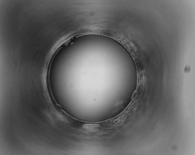 X0000103170051200808221244