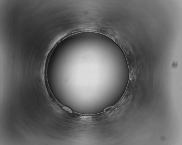 X0000103170052200808221244