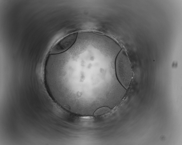 X0000103170053200808221244