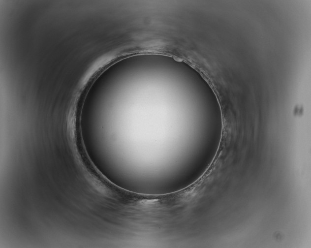 X0000103170054200808221244