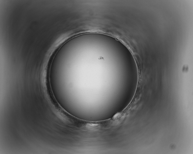 X0000103170055200808221244