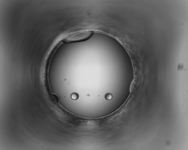 X0000103170056200808221244