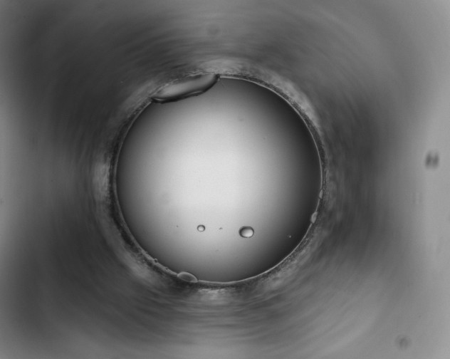 X0000103170057200808221244