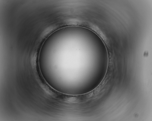 X0000103170058200808221244