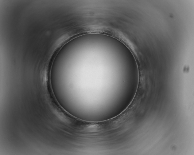 X0000103170059200808221244