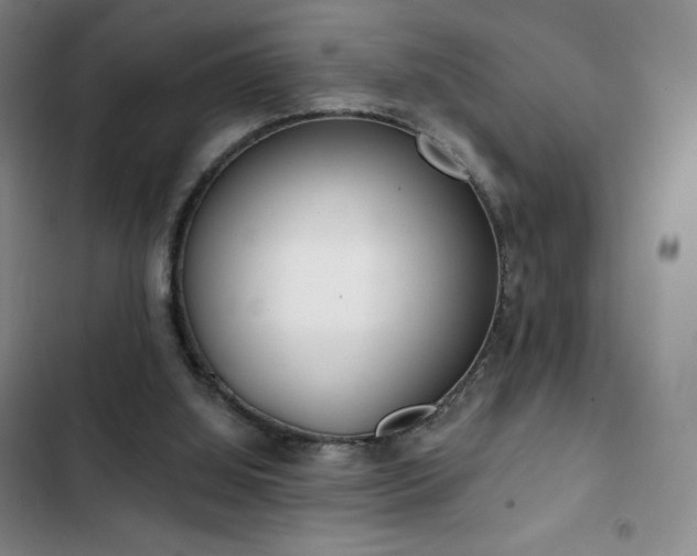 X0000103170060200808221244