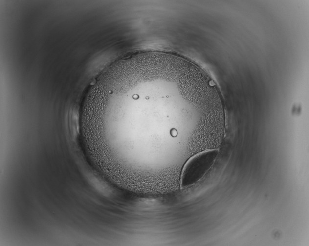 X0000103170061200808221244