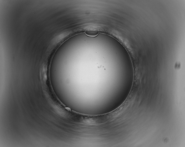 X0000103170062200808221244