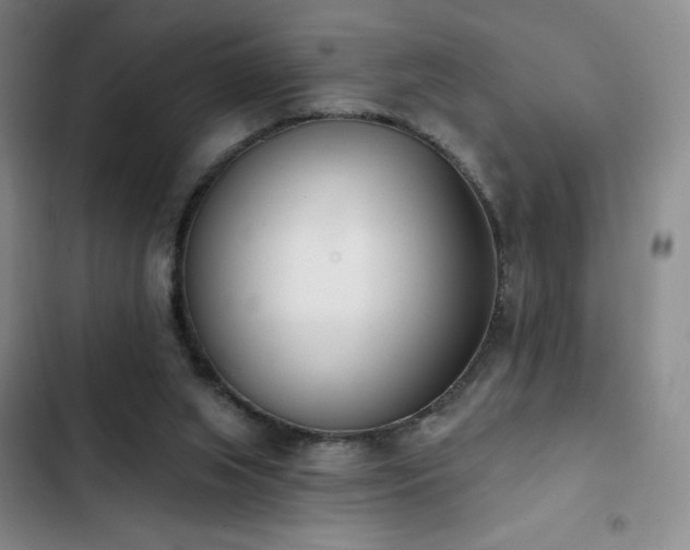 X0000103170063200808221244