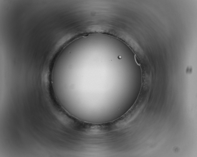 X0000103170064200808221244