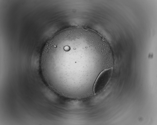 X0000103170065200808221244