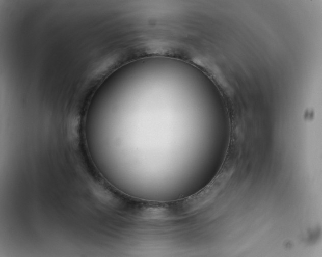 X0000103170066200808221244