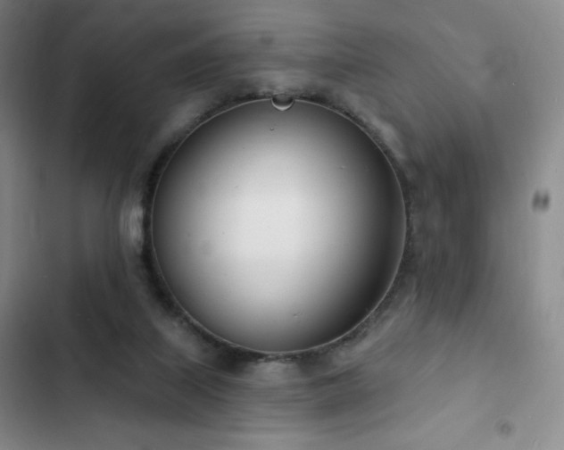 X0000103170067200808221244