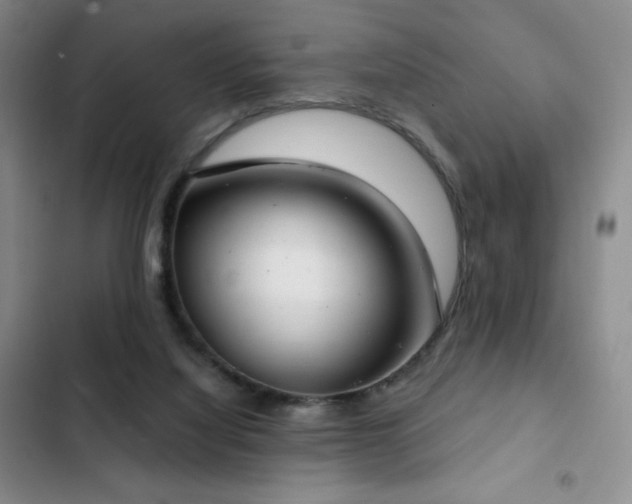 X0000103170068200808221244