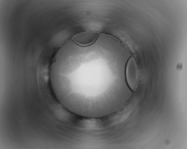 X0000103170069200808221244