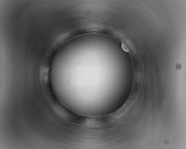 X0000103170070200808221244