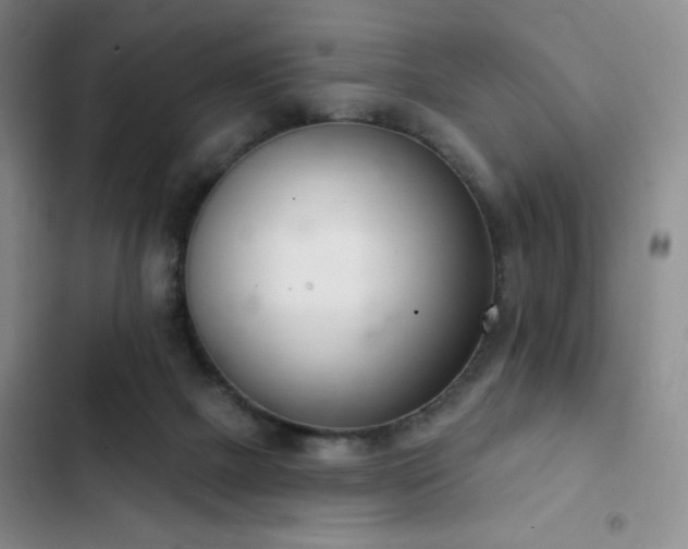 X0000103170073200808221244