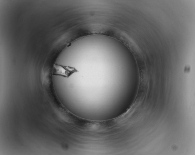 X0000103170074200808221244