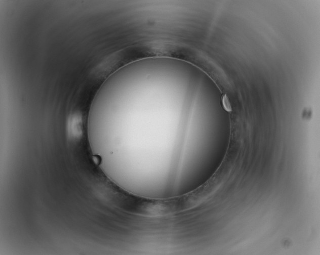 X0000103170075200808221244