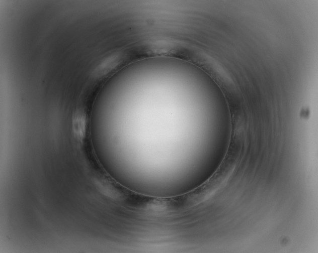 X0000103170076200808221244