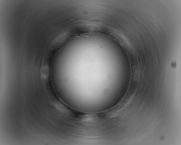 X0000103170077200808221244