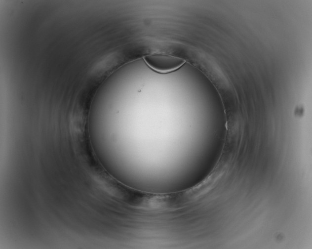 X0000103170078200808221244