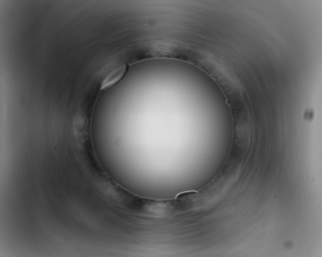 X0000103170079200808221244