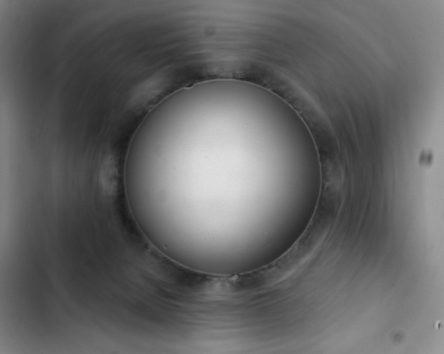 X0000103170080200808221244