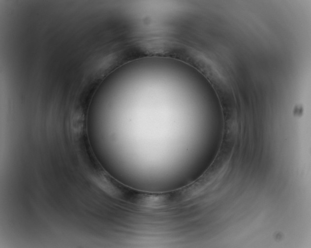 X0000103170081200808221244