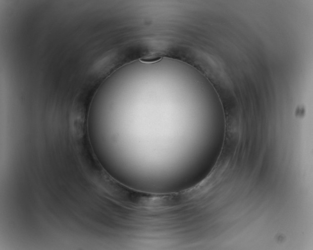 X0000103170082200808221244