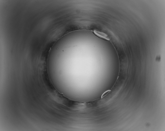 X0000103170083200808221244