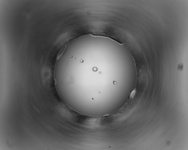 X0000103170084200808221245