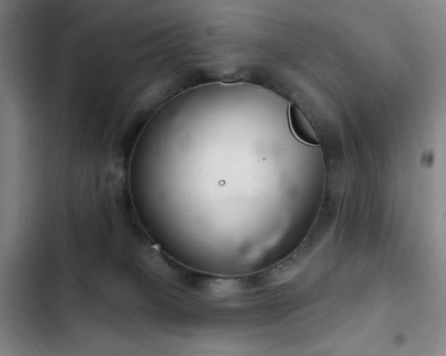 X0000103170085200808221245