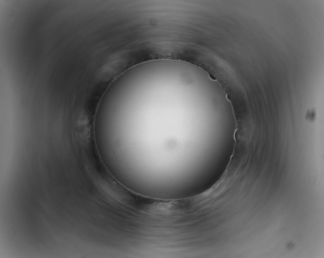 X0000103170086200808221245