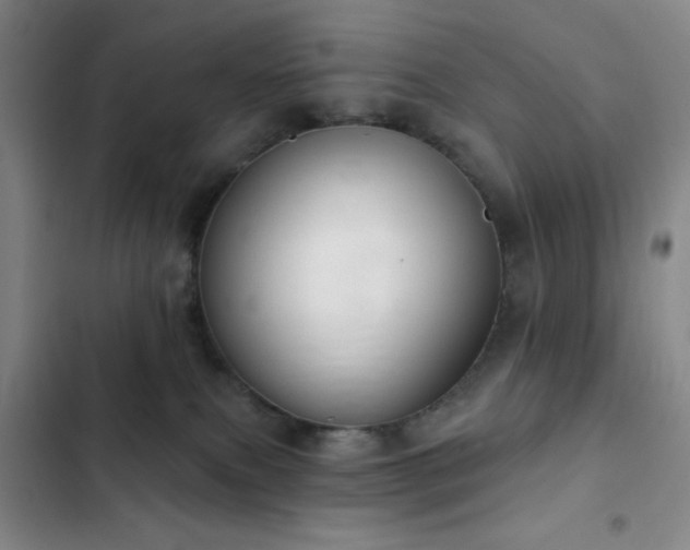 X0000103170087200808221245