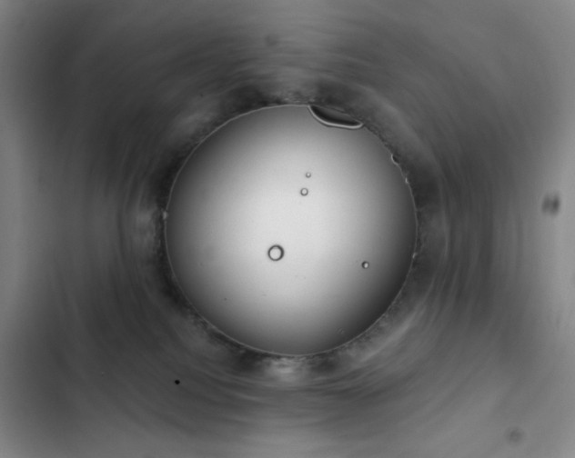 X0000103170088200808221245