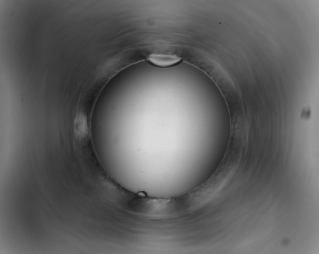 X0000103170089200808221245