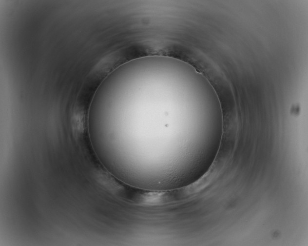 X0000103170090200808221245