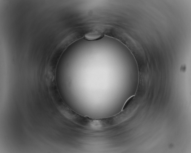 X0000103170091200808221245