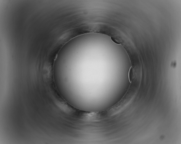 X0000103170092200808221245