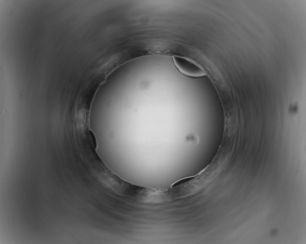 X0000103170093200808221245