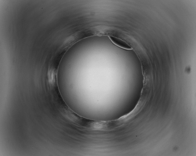 X0000103170094200808221245