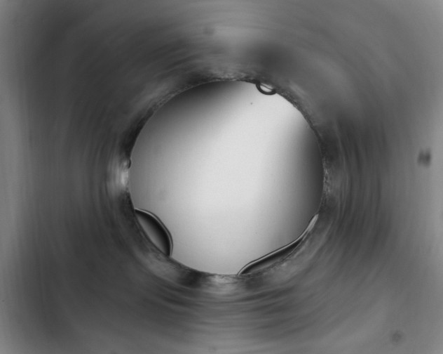 X0000103170095200808221245