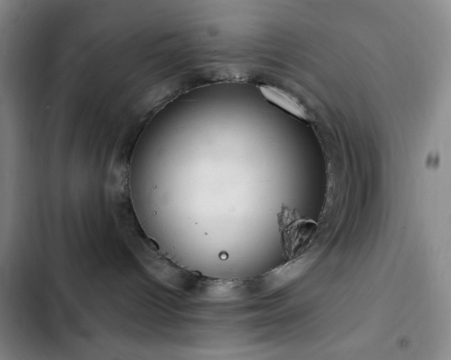 X0000103170096200808221245