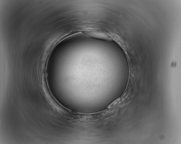 X0000103170097200808221244