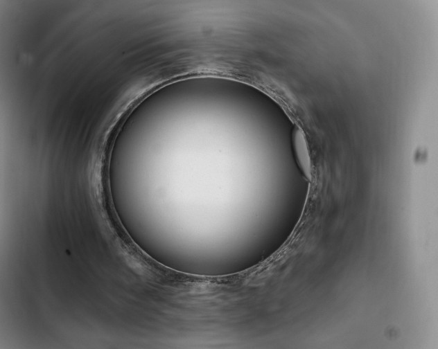 X0000103170098200808221244