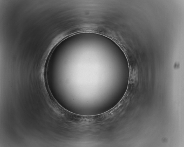 X0000103170099200808221244