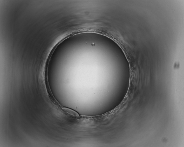 X0000103170100200808221244